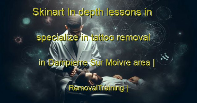 Skinart In-depth lessons in specialize in tattoo removal in Dampierre Sur Moivre area | RemovalTraining | RemovalClasses | SkinartTraining-France